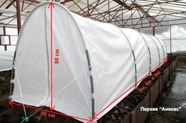 Парник Ананас на молнии 4х0,9х0,8 м